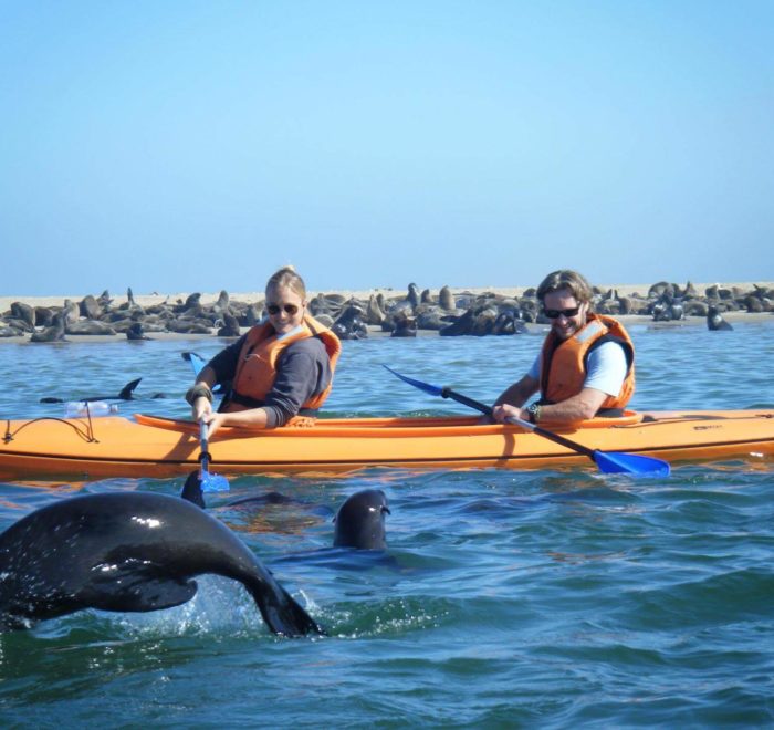 Faire du kayak avec les otaries | © Pelican Point Kayaking