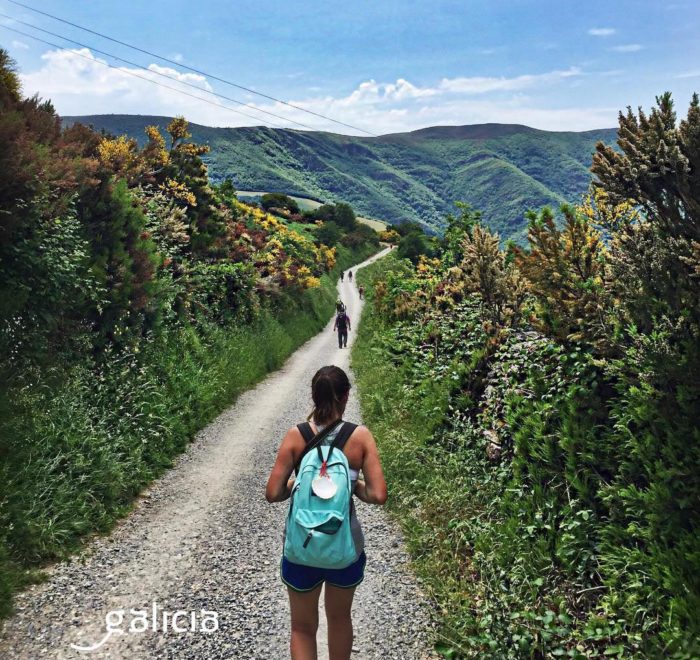 Les 100 derniers kilomètres du Camino Francès | © Turismo de Galicia