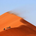 Voyage trek solo désert du Maroc entre célibataires